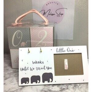 Baby Monthly Milestone Blocks for Girl Milestones Age Photo Block Set 2 Pieces